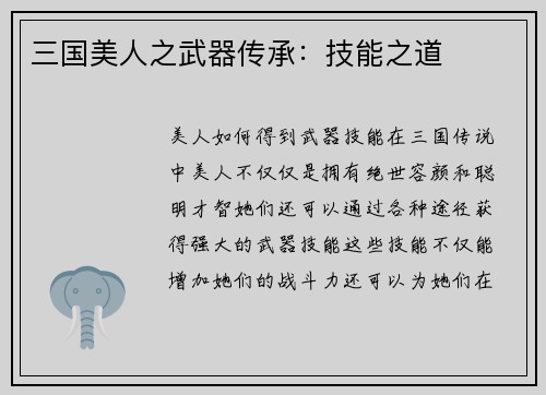 三国美人之武器传承：技能之道