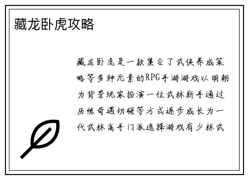 藏龙卧虎攻略
